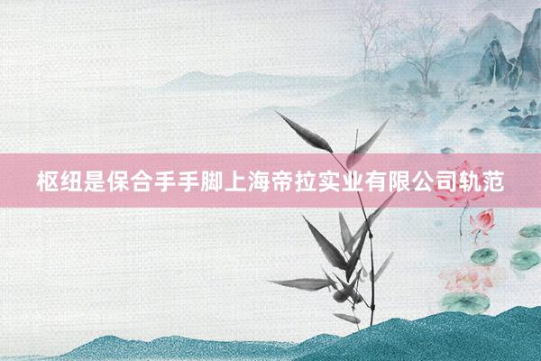 枢纽是保合手手脚上海帝拉实业有限公司轨范